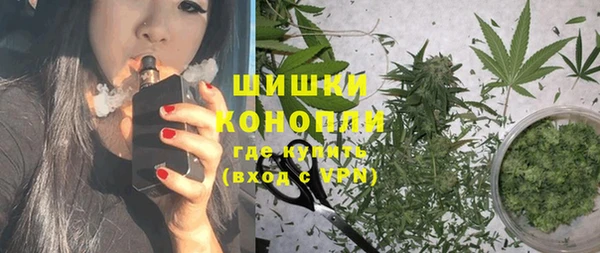 спайс Баксан