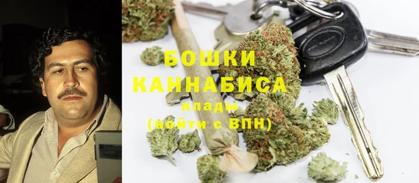 спайс Баксан