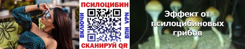 хочу   Горняк  Псилоцибиновые грибы GOLDEN TEACHER 